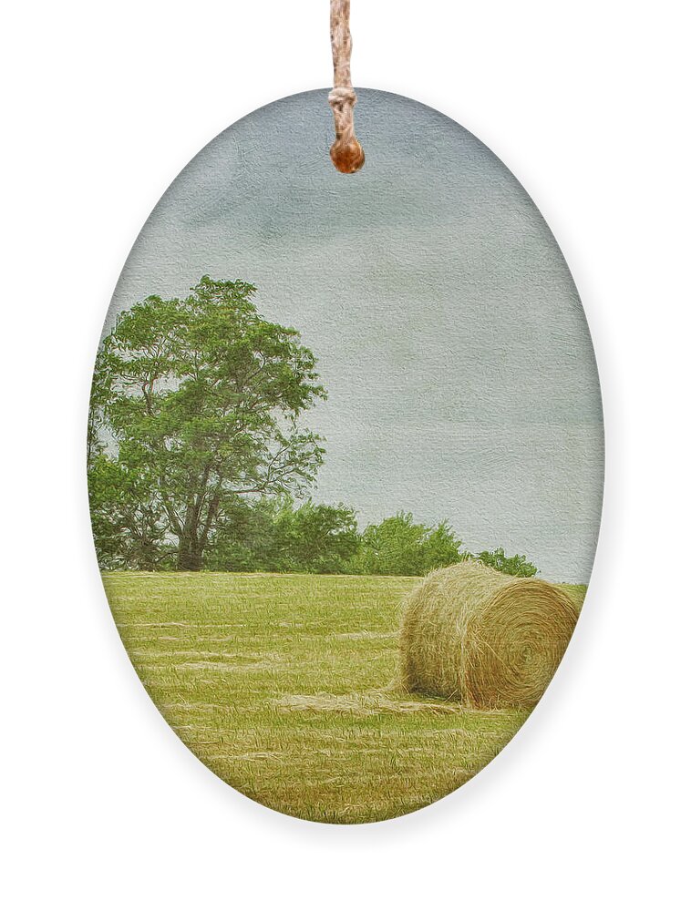 Agricultural Ornament featuring the photograph A Day at the Farm by Kim Hojnacki