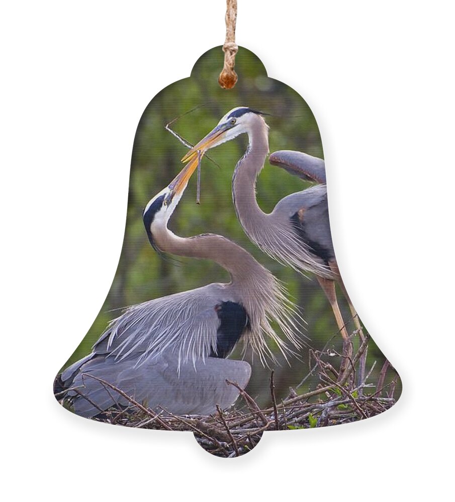 Bird Ornament featuring the photograph A Gift for the Nest by Sabrina L Ryan