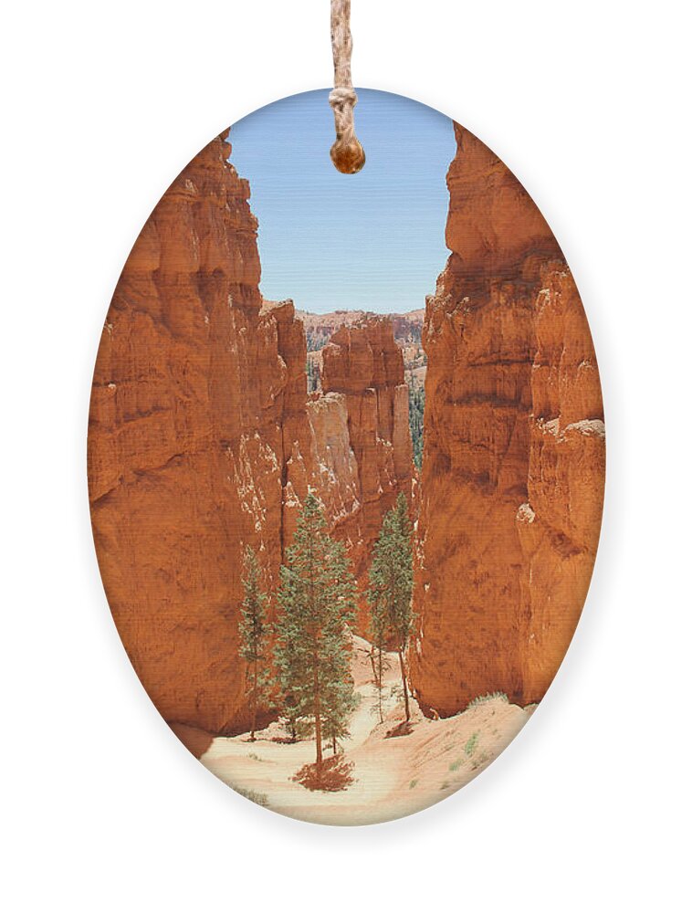 Southwest Ornament featuring the photograph A Long Way to the Top by Mike McGlothlen