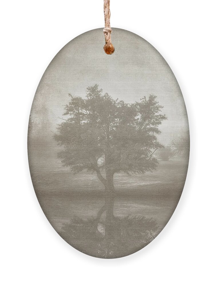 Tree Ornament featuring the photograph A Tree in the Fog 3 by Scott Norris