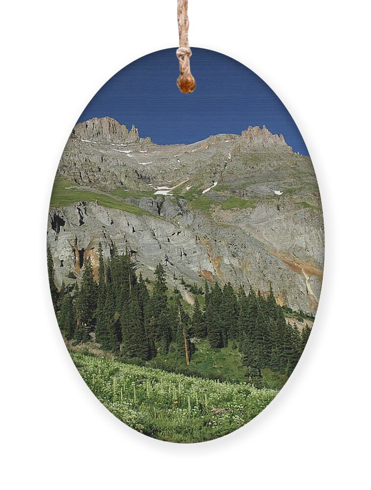 Above The Fruited Plains Ornament featuring the photograph Above the Fruited Plains by George Buxbaum