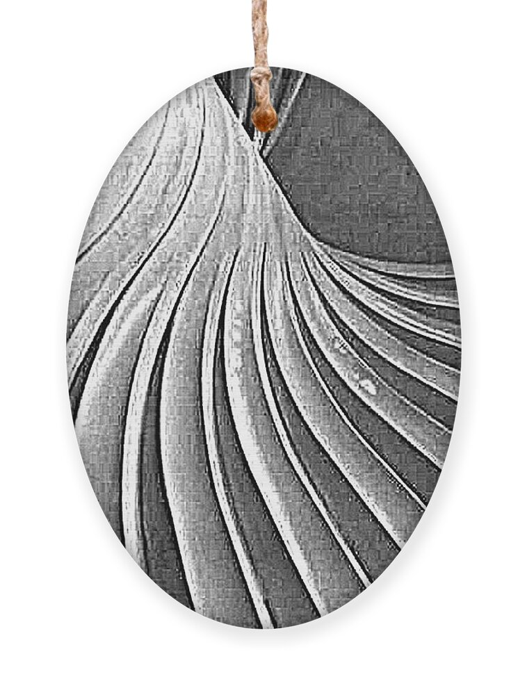 Abstract Ornament featuring the photograph Abstract - Spiral Grain by Richard Reeve