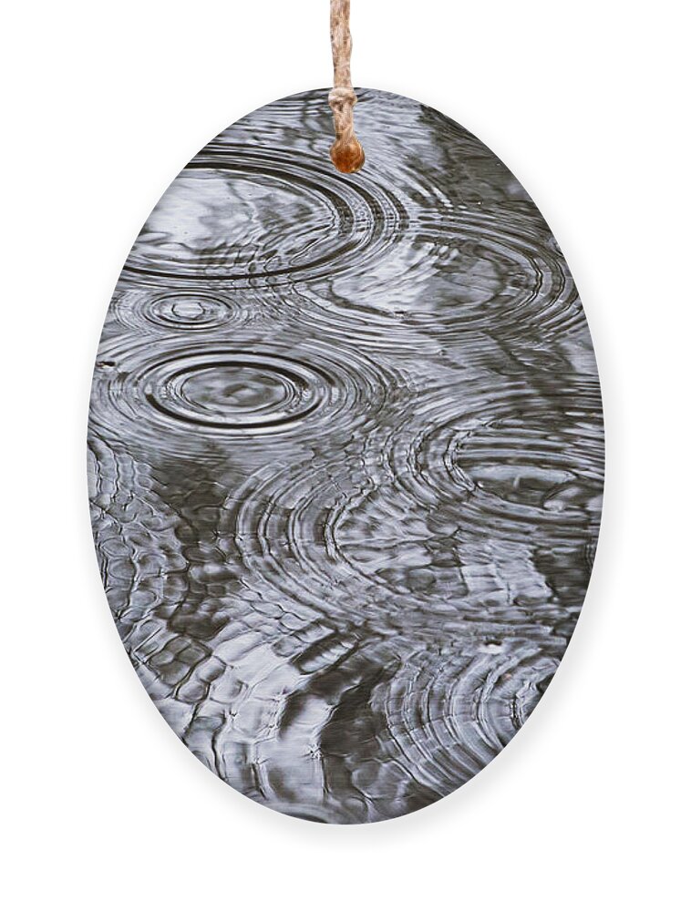 Water Ornament featuring the photograph Abstract Raindrops by Christina Rollo