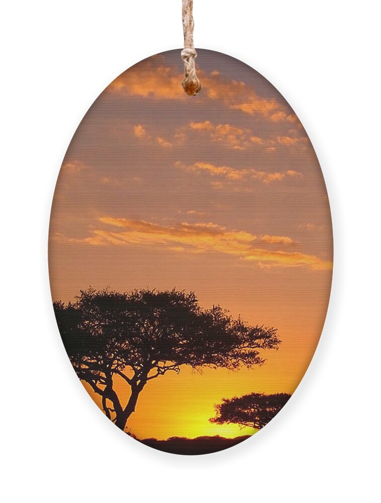 Africa Ornament featuring the photograph African Sunset by Sebastian Musial