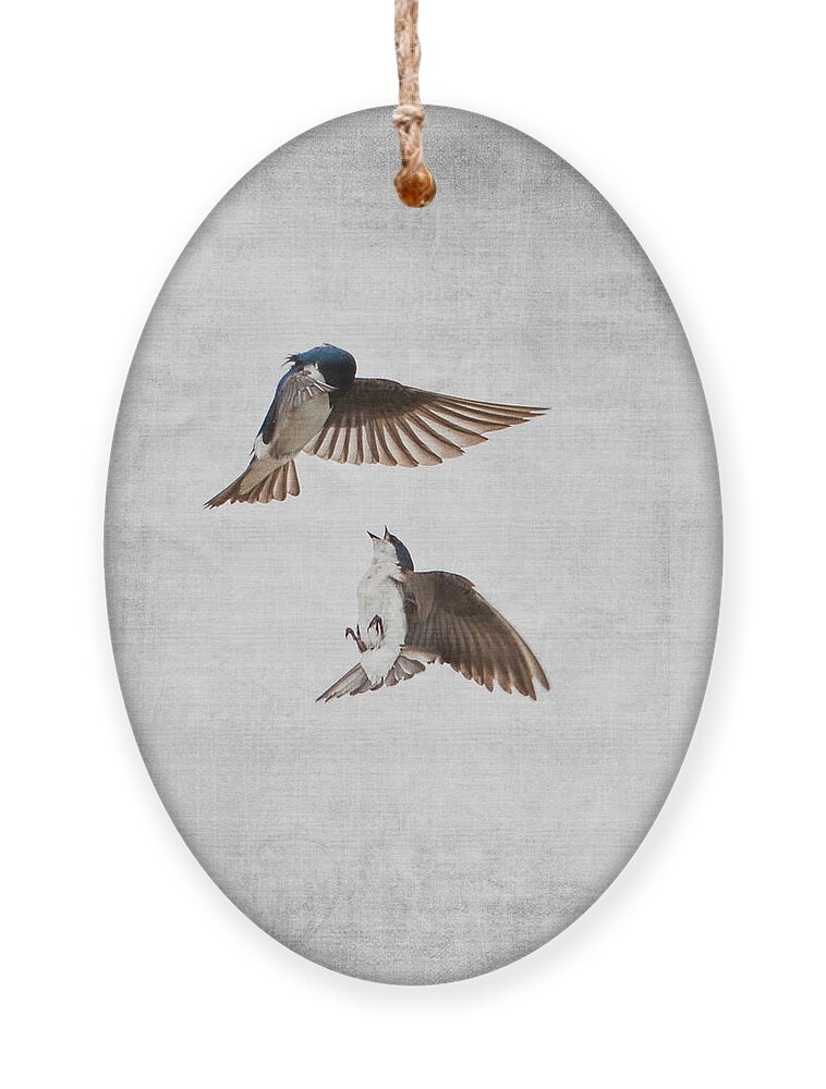 Jai Johnson Ornament featuring the photograph AirOBatics - Tree Swallows by Jai Johnson
