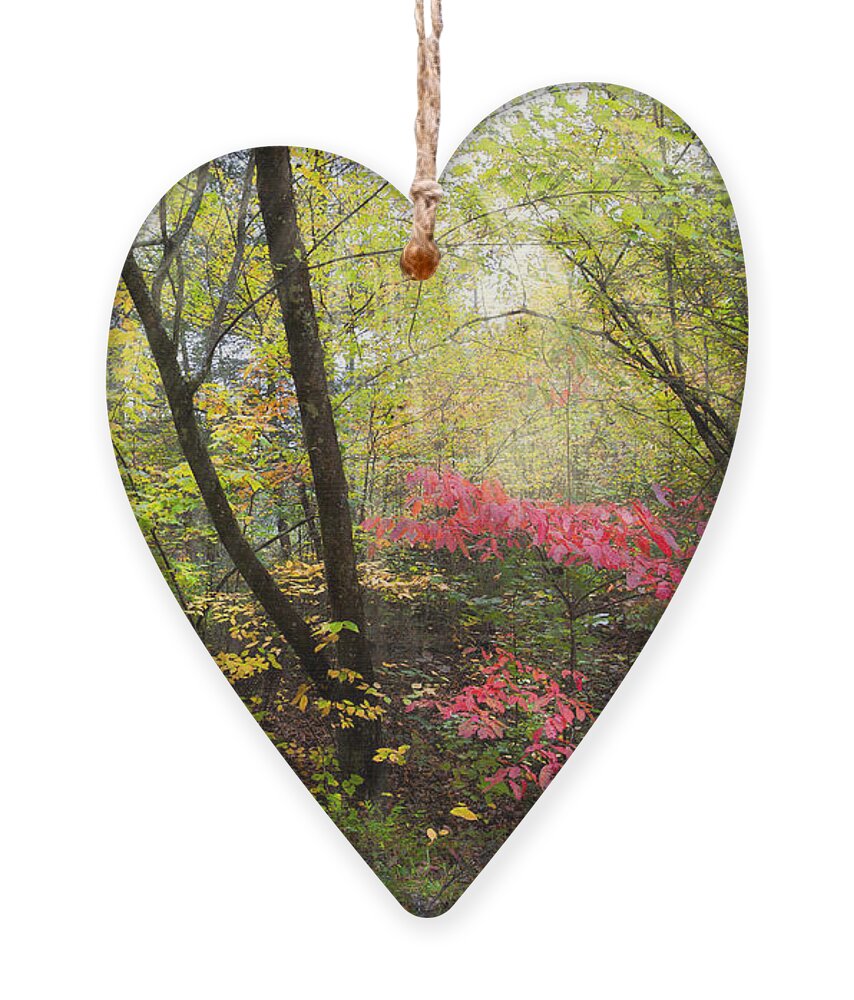 Trail Ornament featuring the photograph Appalachian Mountain Trail by Debra and Dave Vanderlaan