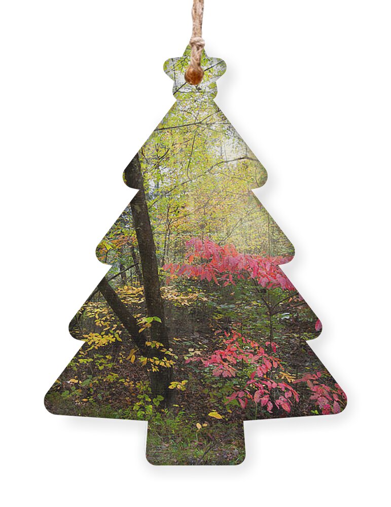 Trail Ornament featuring the photograph Appalachian Mountain Trail by Debra and Dave Vanderlaan