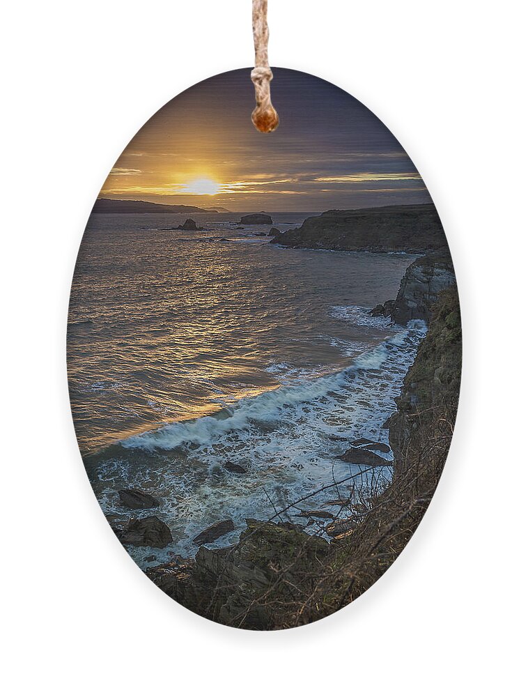 Ares Ornament featuring the photograph Ares Estuary Mouth Galicia Spain by Pablo Avanzini