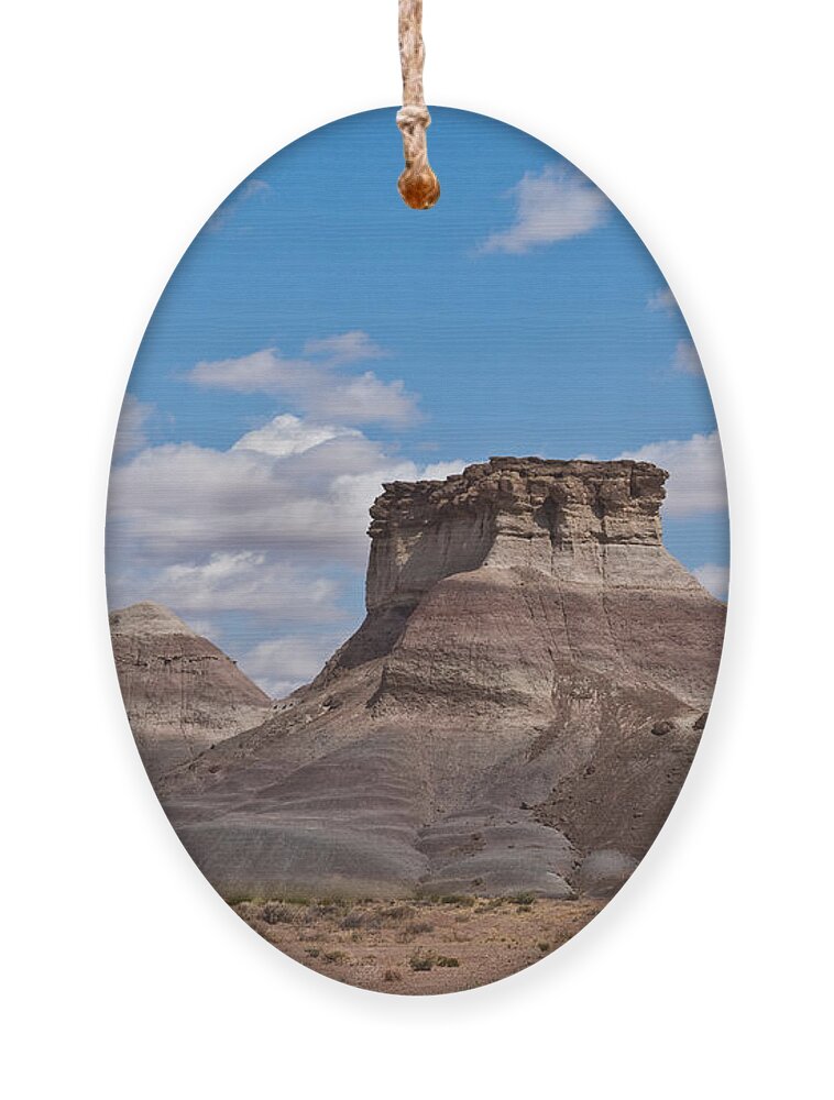 Arizona Ornament featuring the photograph Arizona Desert and Mesa by Jeff Goulden