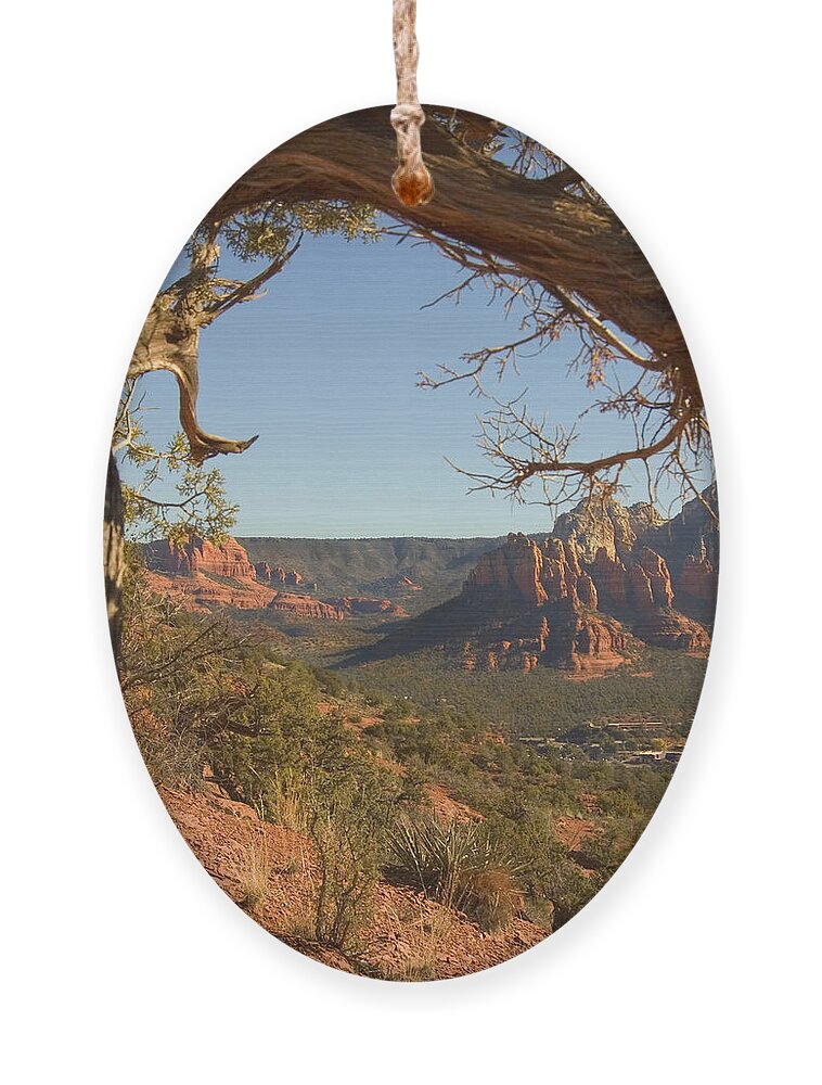 Arizona Ornament featuring the photograph Arizona Outback 5 by Mike McGlothlen