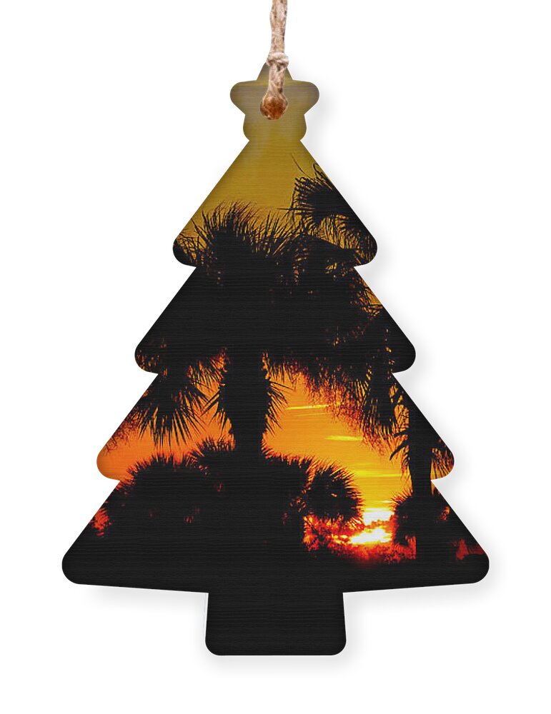 Sunset Ornament featuring the digital art Artistic Florida Sunset by Jayne Carney