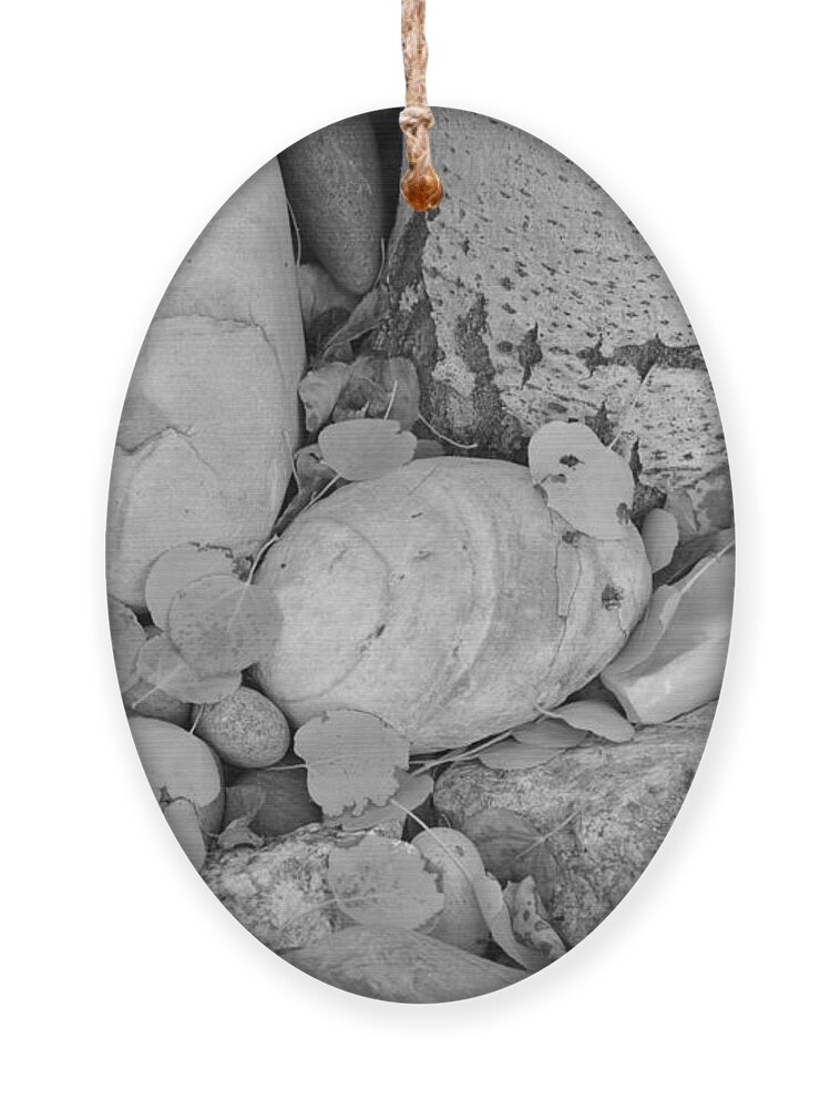 Aspen Ornament featuring the photograph Aspen Leaves on the Rocks - black and white by Dorrene BrownButterfield