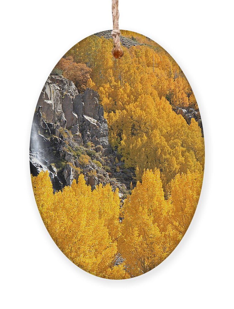 Aspen Ornament featuring the photograph Aspens and a Waterfall by Donna Kennedy