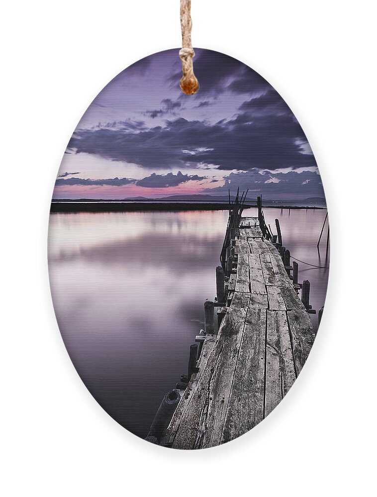 Pier Ornament featuring the photograph At the end by Jorge Maia