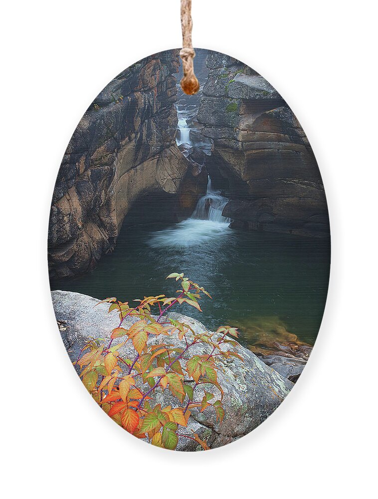 Autumn Colors Ornament featuring the photograph Autumn at the Grotto by Jim Garrison