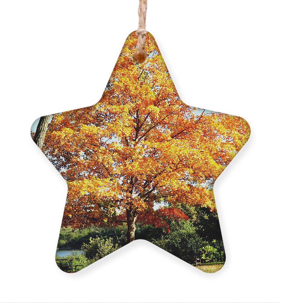 Autumn Glory Ornament featuring the photograph Autumn Glory by Darren Robinson