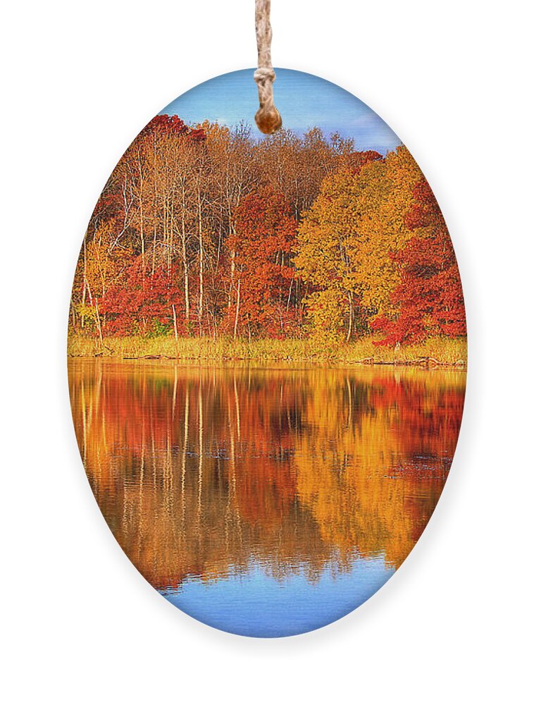 Eagan Ornament featuring the photograph Autumn Reflections Minnesota Autumn by Wayne Moran