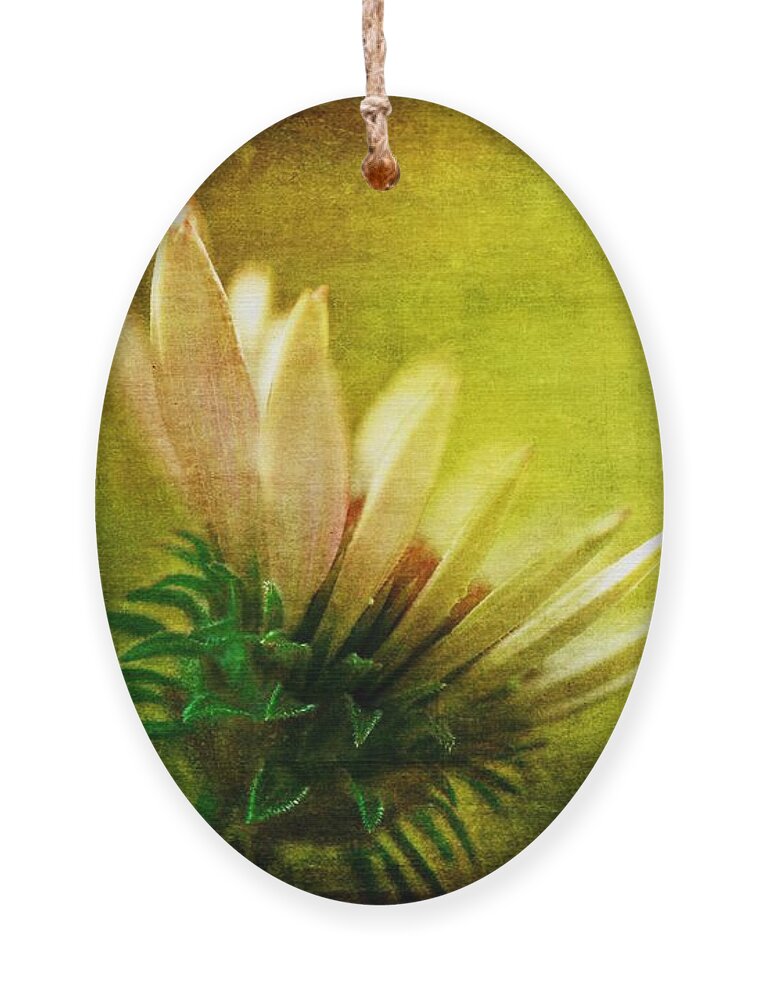 Flower Ornament featuring the photograph Awakening by Lois Bryan