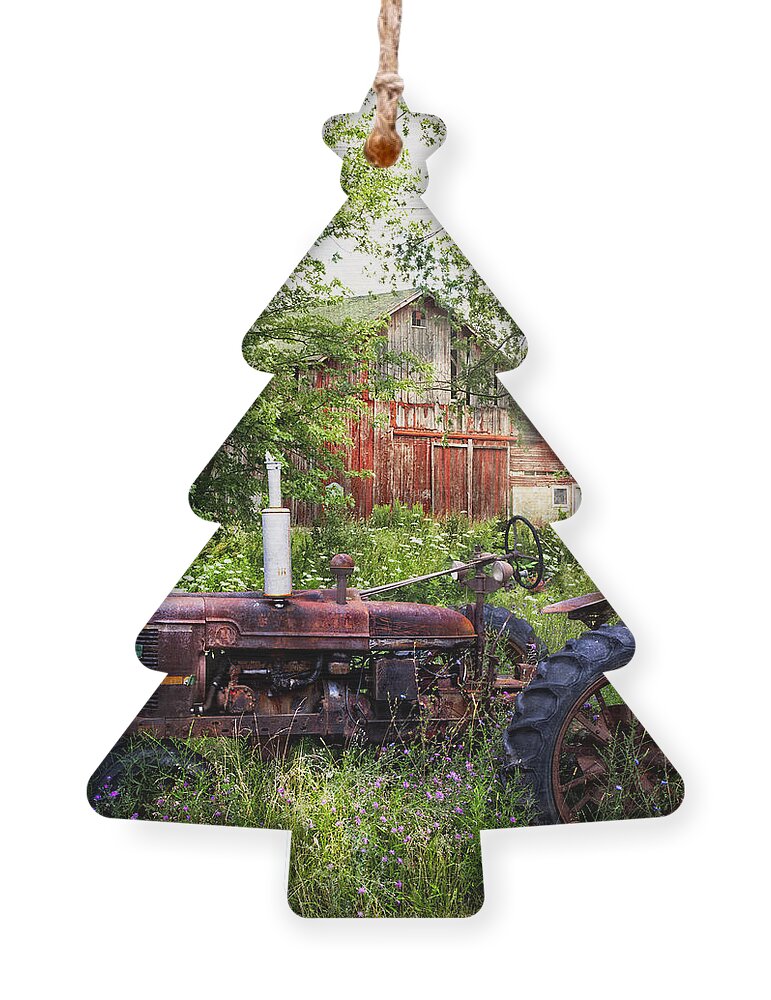 Barn Ornament featuring the photograph Back to Nature by Debra and Dave Vanderlaan