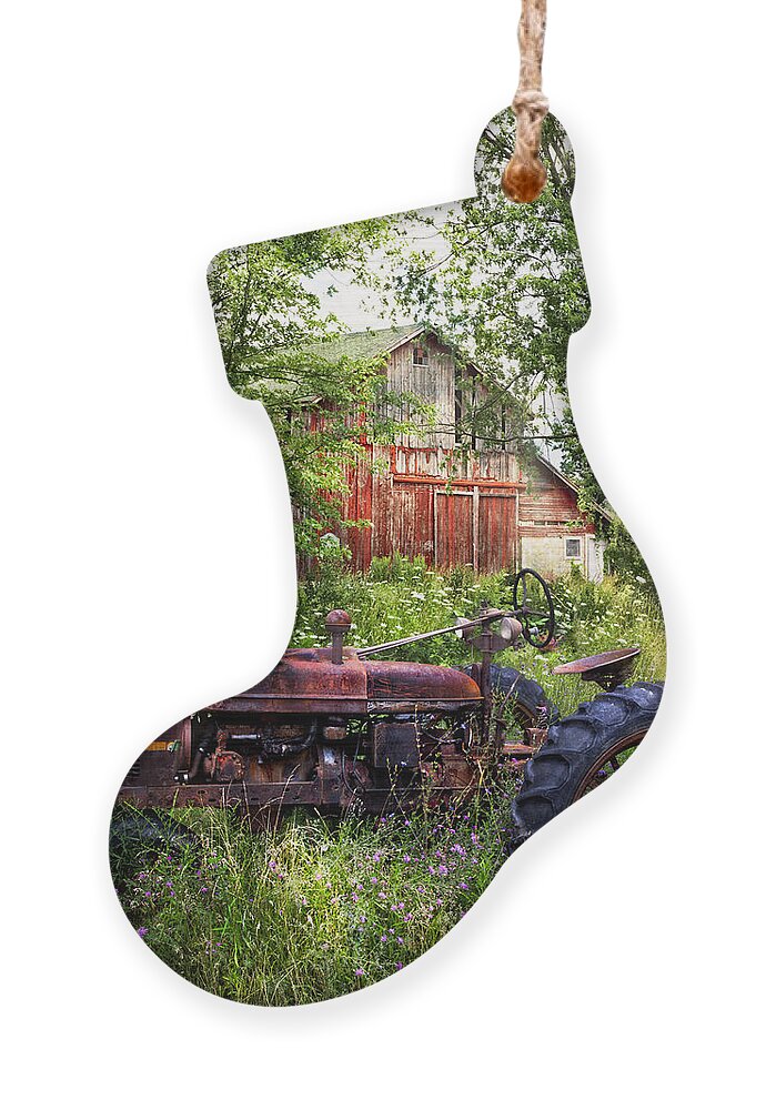 Barn Ornament featuring the photograph Back to Nature by Debra and Dave Vanderlaan
