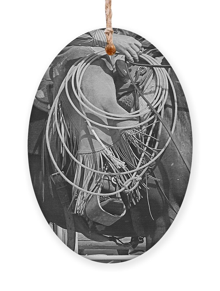 Horse Ornament featuring the photograph Backing Up by Ann E Robson