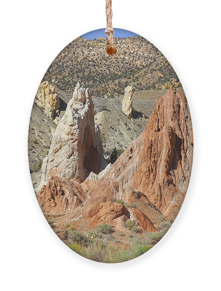 Desert Ornament featuring the photograph Backroads Utah 4 by Mike McGlothlen