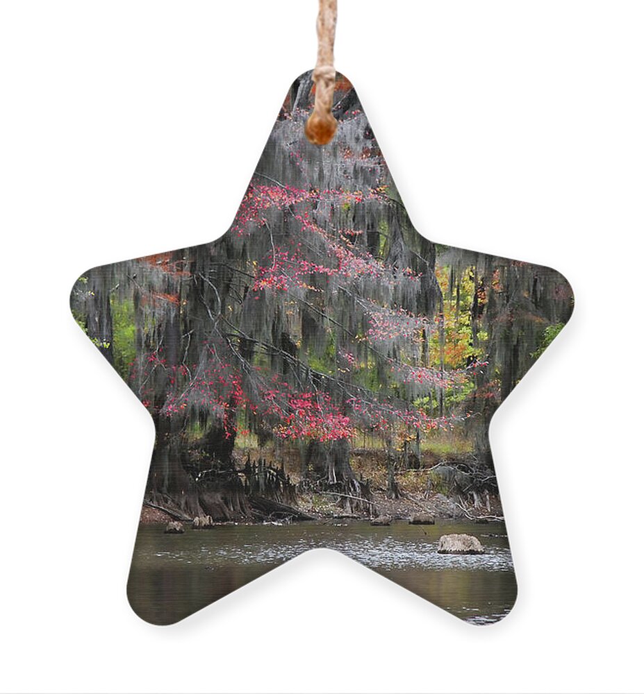Autumn Ornament featuring the photograph Backwater Autumn by Lana Trussell