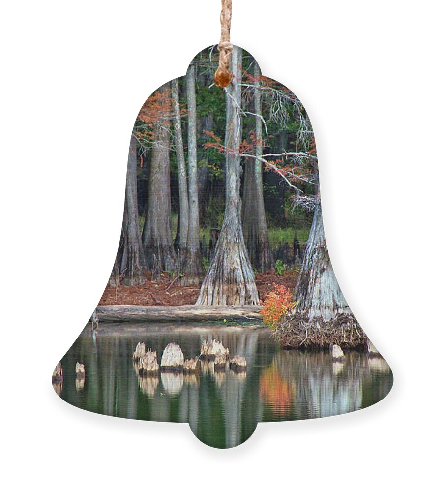Autumn Ornament featuring the photograph Backwaters by Lana Trussell
