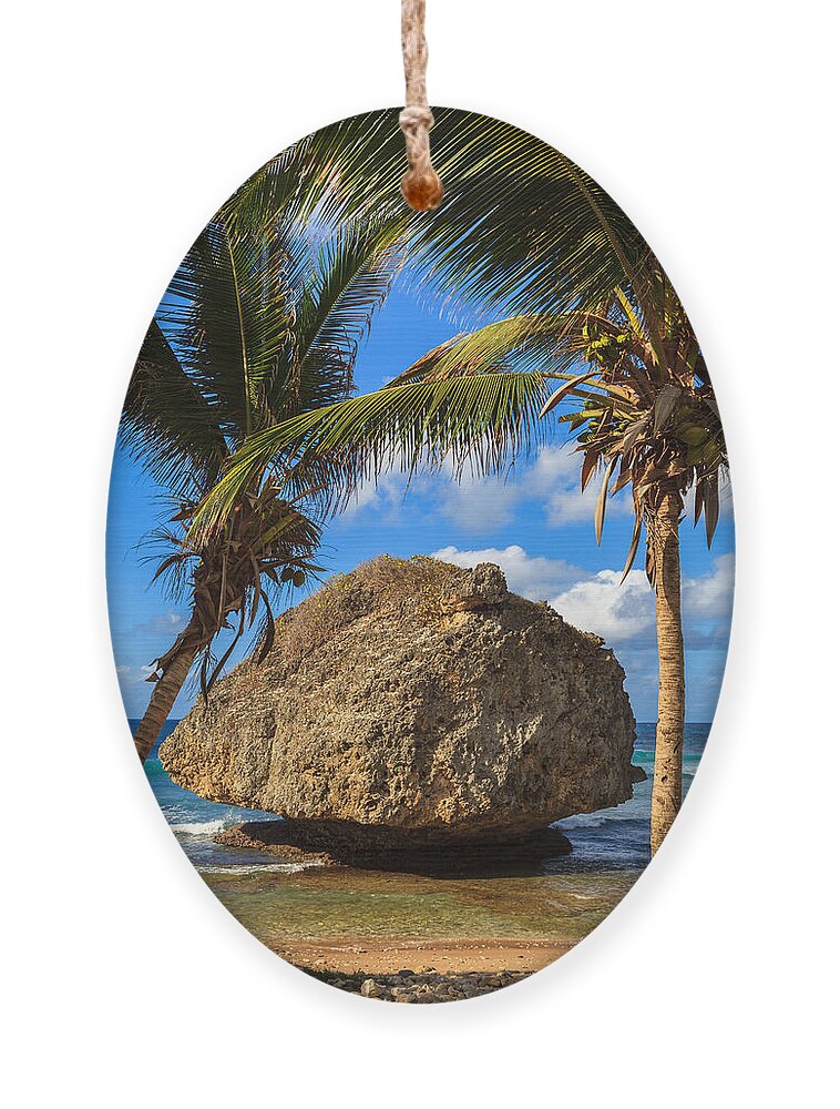 Barbados Ornament featuring the photograph Barbados Beach by Raul Rodriguez