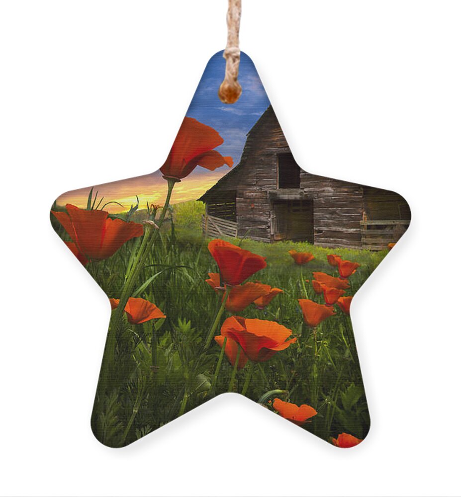 American Ornament featuring the photograph Barn in Poppies by Debra and Dave Vanderlaan
