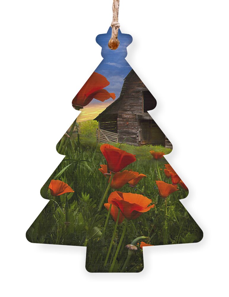 American Ornament featuring the photograph Barn in Poppies by Debra and Dave Vanderlaan