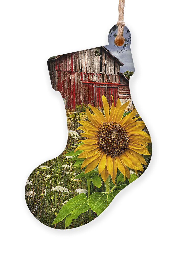Barn Ornament featuring the photograph Barn Meadow Flowers by Debra and Dave Vanderlaan