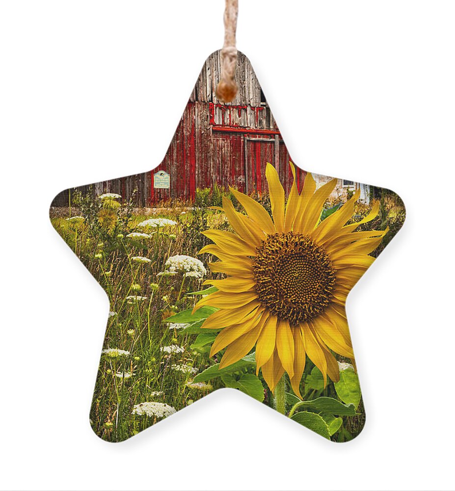 Barn Ornament featuring the photograph Barn Meadow Flowers by Debra and Dave Vanderlaan