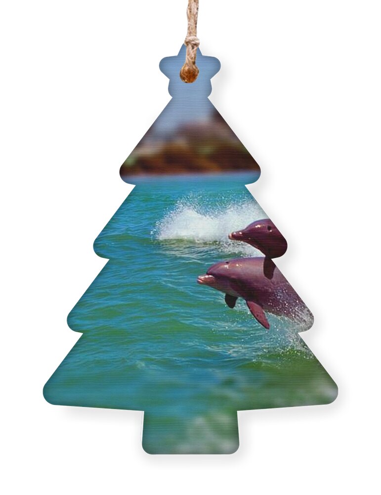 Clearwater Ornament featuring the photograph Bay Dolphins by Joseph Desiderio