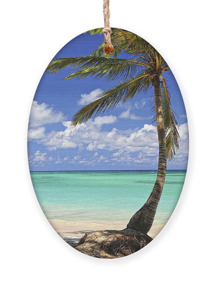 Beach Ornament featuring the photograph Beach of a tropical island by Elena Elisseeva