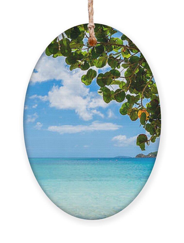 Caribbean Ornament featuring the photograph Beautiful Caribbean beach by Raul Rodriguez