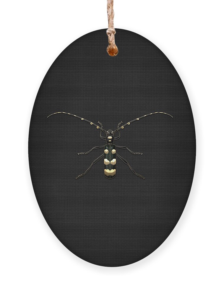 'beasts Creatures And Critters' Collection By Serge Averbukh Ornament featuring the digital art Black Longhorn Beetle with Gold Accents on Black Canvas by Serge Averbukh