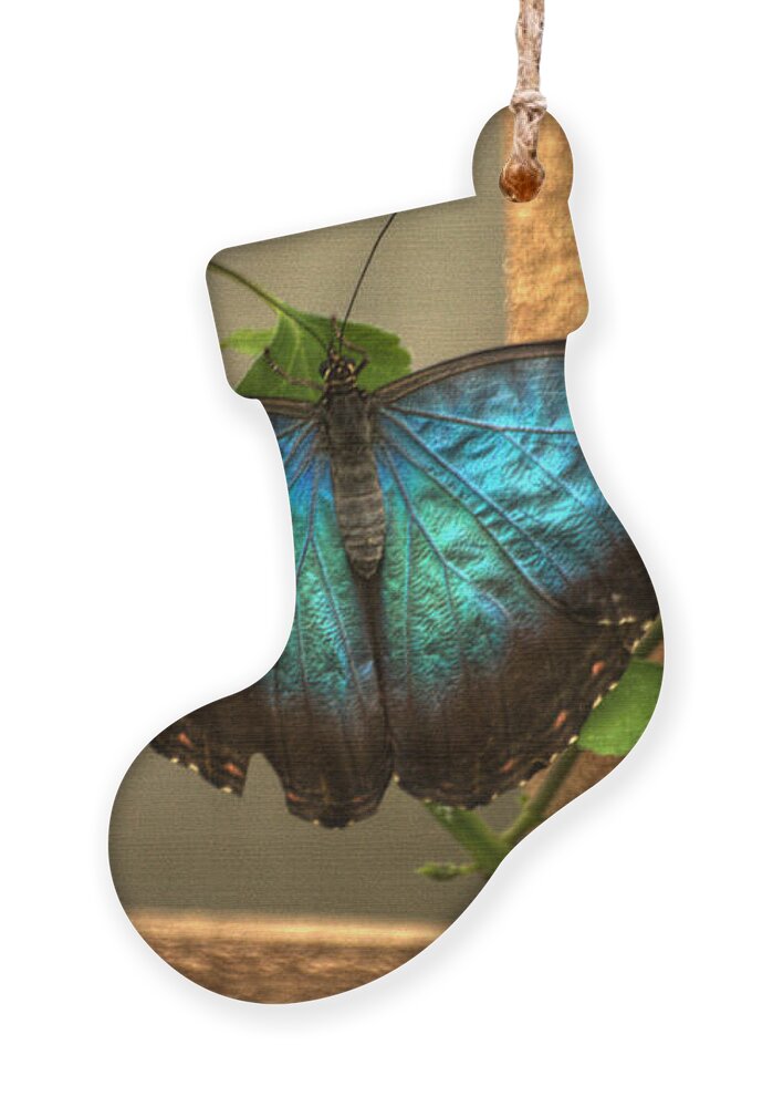 Butterfly Ornament featuring the photograph Blue and Black Butterfly by Jeremy Hayden
