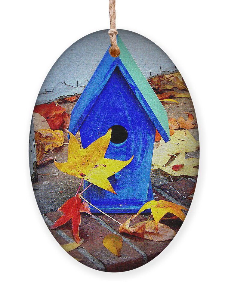 Bird House Ornament featuring the photograph Blue Bird House by Rodney Lee Williams