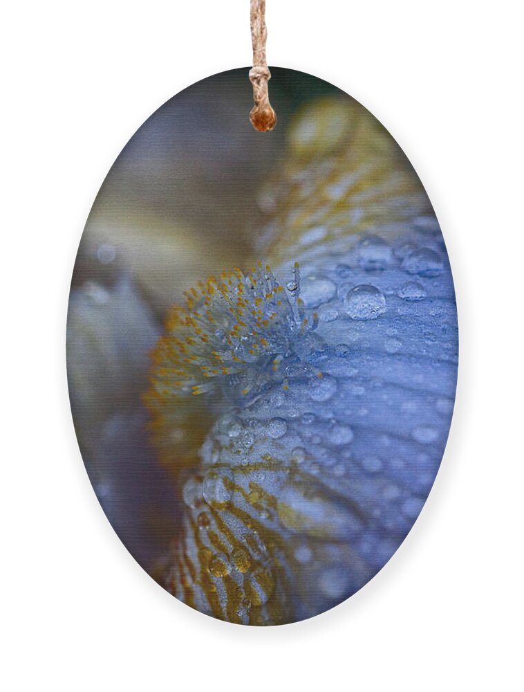 Bearded Iris Ornament featuring the photograph Blue Danube by Jeff Folger