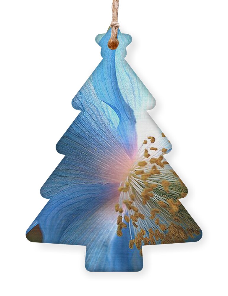 Carol Groenen Ornament featuring the photograph Blue Poppy by Carol Groenen