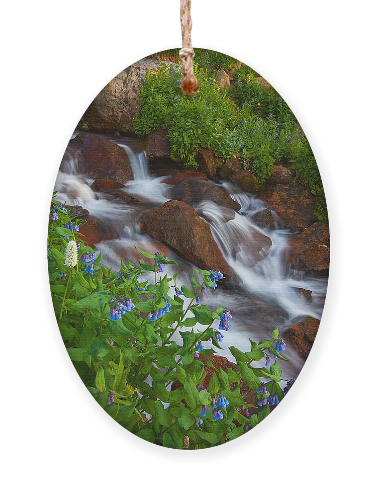 Stream Ornament featuring the photograph Bluebell Creek by Darren White