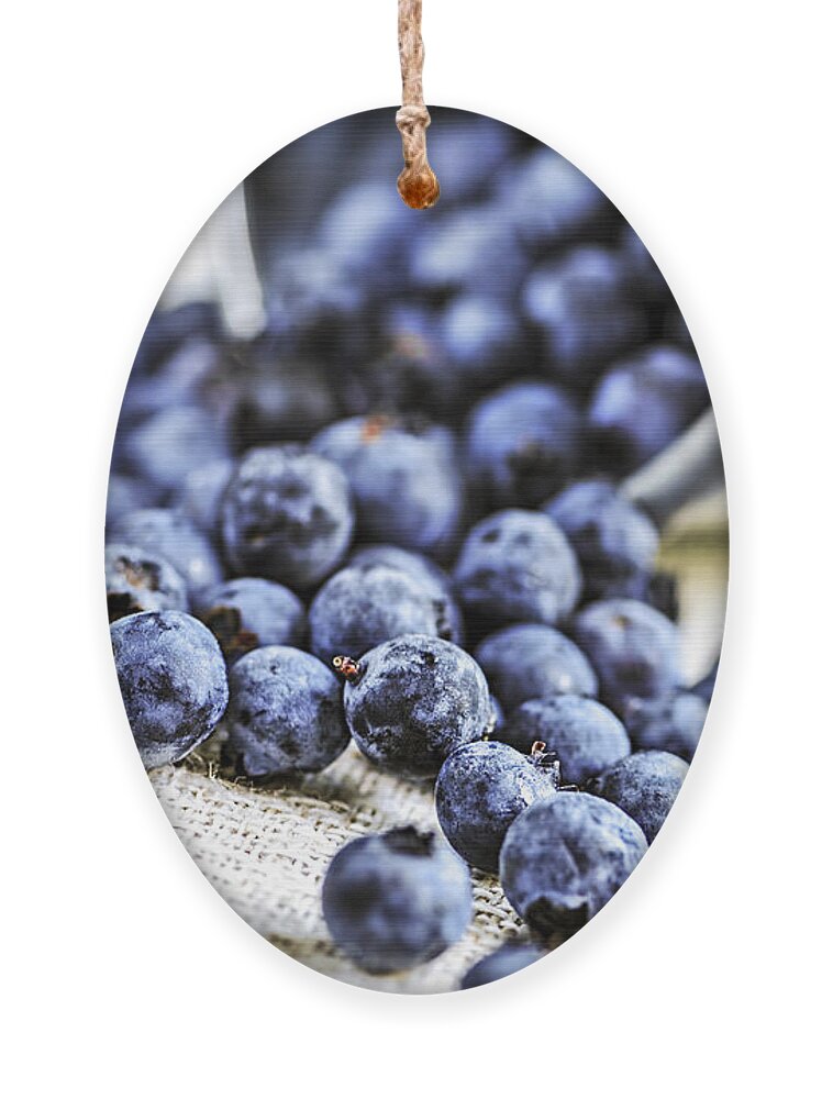 Blueberry Ornament featuring the photograph Blueberries by Elena Elisseeva