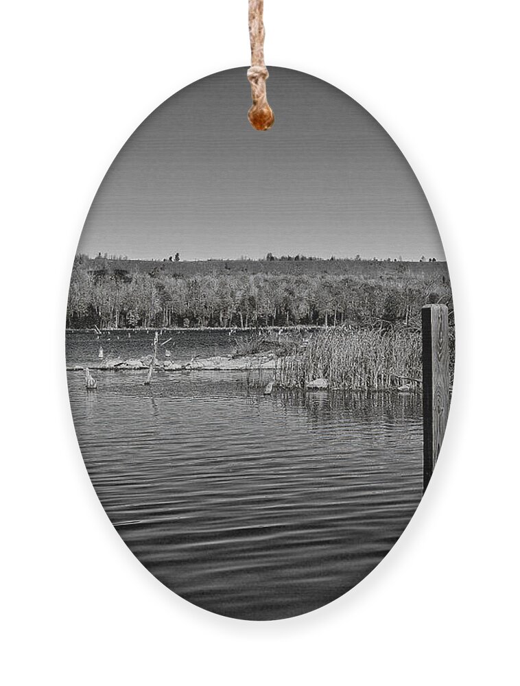 Black And White Photography Ornament featuring the photograph Boat Dock Black and White by Gwen Gibson