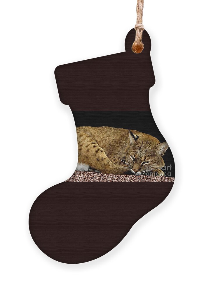Bobcats Ornament featuring the photograph Bobcat by Rose Santuci-Sofranko