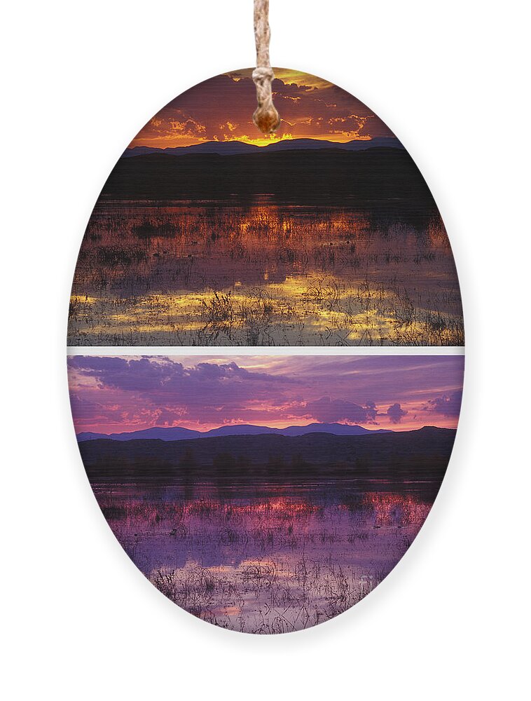 Bosque Ornament featuring the photograph Bosque sunsets by Steven Ralser
