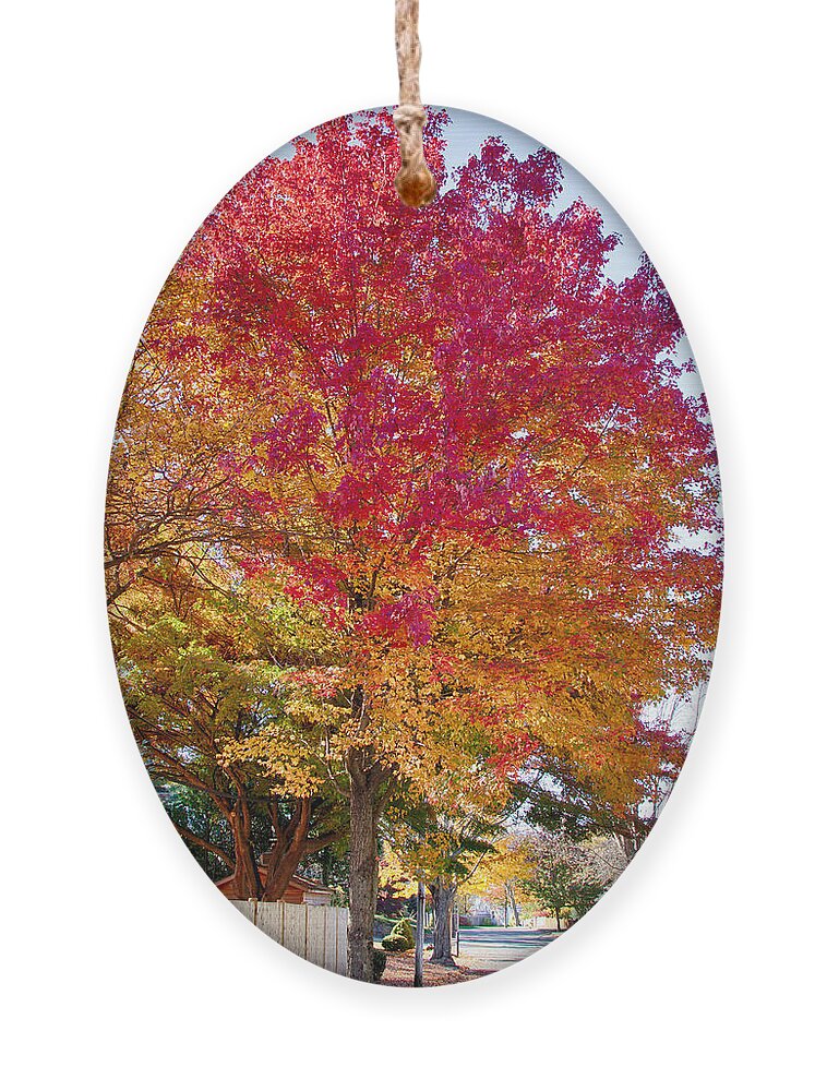Marblehead Ornament featuring the photograph brilliant autumn colors on a Marblehead street by Jeff Folger