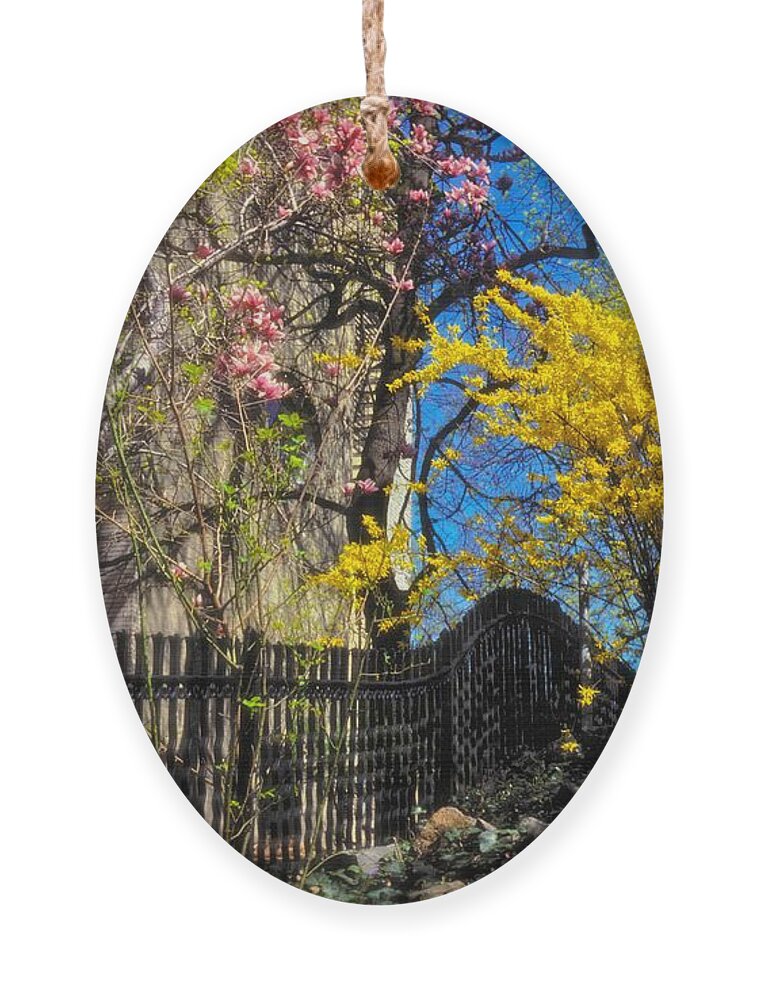 Brilliant Ornament featuring the photograph Brilliant Day by Carol Whaley Addassi