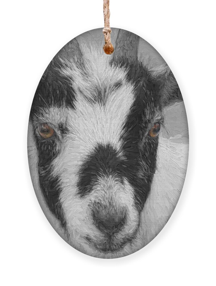 Goat Ornament featuring the digital art Brown Eyed Goat by Jayne Carney