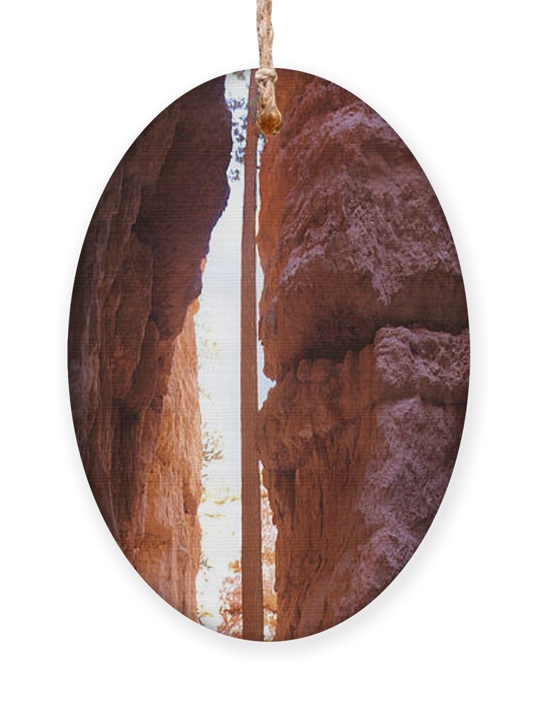 Bryce Canyon Ornament featuring the photograph Bryce Canyon from the Bottom Panoramic by Mike McGlothlen